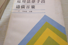 甘南甘南的要账公司在催收过程中的策略和技巧有哪些？